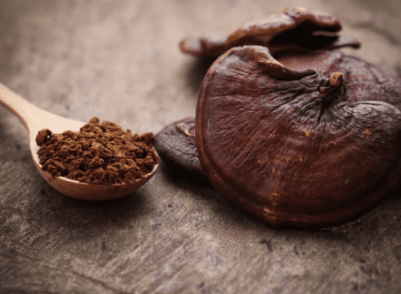 Top 3 Medicinal Mushrooms for Brain Health