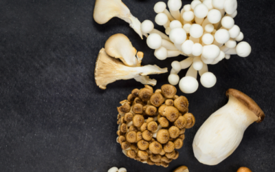 Functional Mushrooms: What Are They, And Why Are They Good For You?